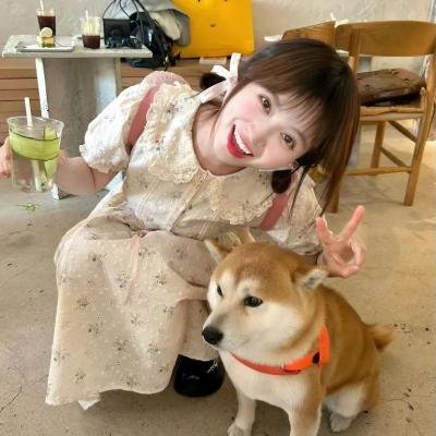 美味盛宴